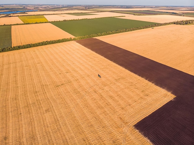 Agro e pecuária